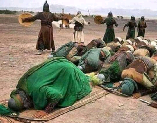 Kur'an-ı Kerim Meali